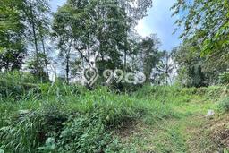 Tanah Dijual Lokasi Semarang Selatan, Semarang dengan Luas Tanah 1000m2 dan Status SHM Tanah Dijual Lokasi Semarang Selatan, Semarang dengan Luas Tanah 1000m2 dan Status SHM