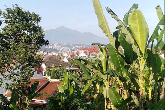 Lahan untuk Dijual di Banyumanik Semarang Luas 300m2 Lahan untuk Dijual di Banyumanik Semarang Luas 300m2