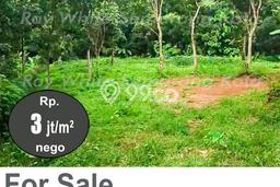 Lahan Kosong Dijual di Semarang dengan Area 4000m2 Lahan Kosong Dijual di Semarang dengan Area 4000m2