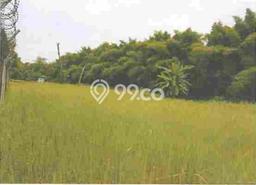 Jarang Ada! Tanah di Kebon Jeruk Punya Luas 477m2 - Jarang Ada! Tanah di Kebon Jeruk Punya Luas 477m2 -