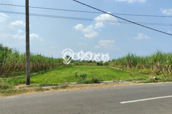 Tanah Dijual Lokasi Kedamean, Gresik Luas 200000m2 Legalitas Aman Tanah Dijual Lokasi Kedamean, Gresik Luas 200000m2 Legalitas Aman