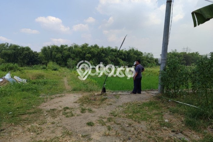 Tanah di Kedamean, Gresik Luas 200000m2 Dijual Segera Tanah di Kedamean, Gresik Luas 200000m2 Dijual Segera