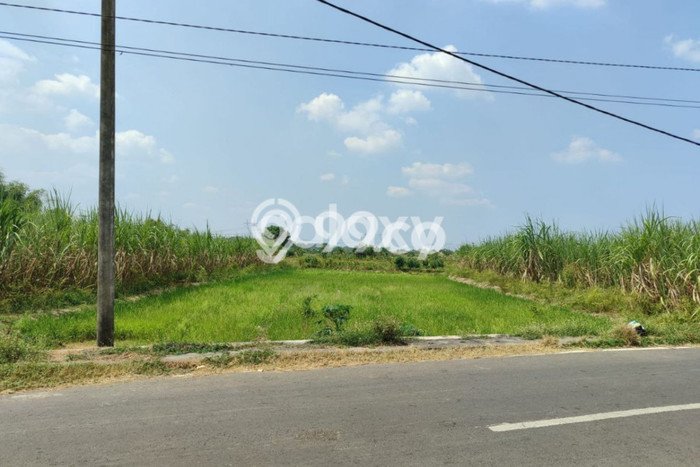 Tanah Dijual Lokasi Kedamean, Gresik Luas 200000m2 Legalitas Aman Tanah Dijual Lokasi Kedamean, Gresik Luas 200000m2 Legalitas Aman