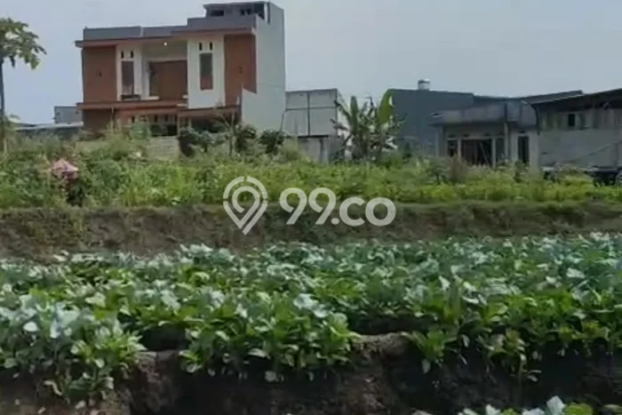 Dijual Tanah di Malang, Luas 1150m2 SHM Dijual Tanah di Malang, Luas 1150m2 SHM