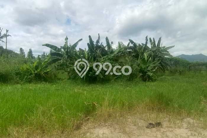 Tanah Premium Kawasan Soreang, Luas 2000m², Cocok untuk Perumahan Tanah Premium Kawasan Soreang, Luas 2000m², Cocok untuk Perumahan