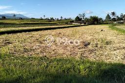 Jarang Ada! Tanah di Tabanan Punya Luas 5000m2 SHM Jarang Ada! Tanah di Tabanan Punya Luas 5000m2 SHM