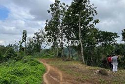 Tanah Lokasi Strategis Kawasan Tabanan, Luas 500m2m², Dekat ke Fasilitas Umum Tanah Lokasi Strategis Kawasan Tabanan, Luas 500m2m², Dekat ke Fasilitas Umum