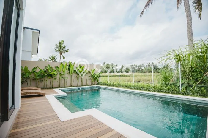 Sewa cepat rumah minimalis lokasi strategis 2 Kamar di Ubud, Gianyar Sewa cepat rumah minimalis lokasi strategis 2 Kamar di Ubud, Gianyar