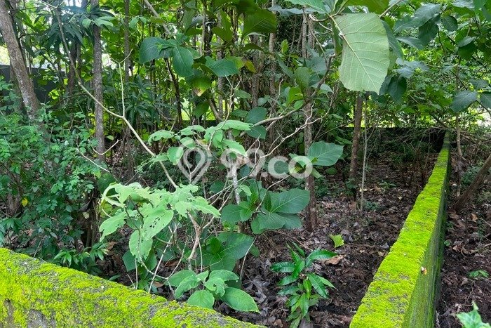 Kavling Tanah untuk Dijual di Kutuh, Badung, Luas 300m2 Kavling Tanah untuk Dijual di Kutuh, Badung, Luas 300m2