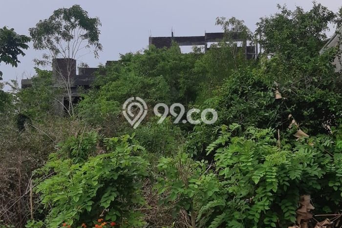 Rumah Minimalis 1 KT di Ungasan Badung Rumah Minimalis 1 KT di Ungasan Badung