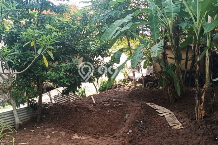 Tanah Dijual Area Strategis di Pererenan Badung 300m2 Tanah Dijual Area Strategis di Pererenan Badung 300m2