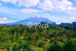 Tanah Kavling untuk Dijual di Karangasem Karangasem 3090m2 Tanah Kavling untuk Dijual di Karangasem Karangasem 3090m2