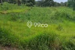 Tanah di Tulamben, Karangasem Luas 18000m2 Dijual Segera Tanah di Tulamben, Karangasem Luas 18000m2 Dijual Segera