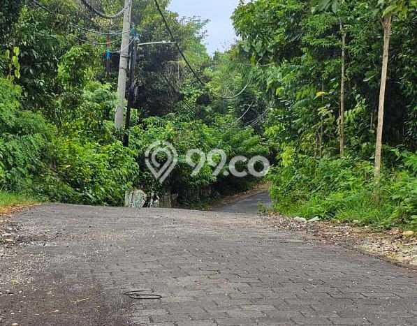 Tanah Disewa Strategis di Badung Luas 1000m2 Tanah Disewa Strategis di Badung Luas 1000m2