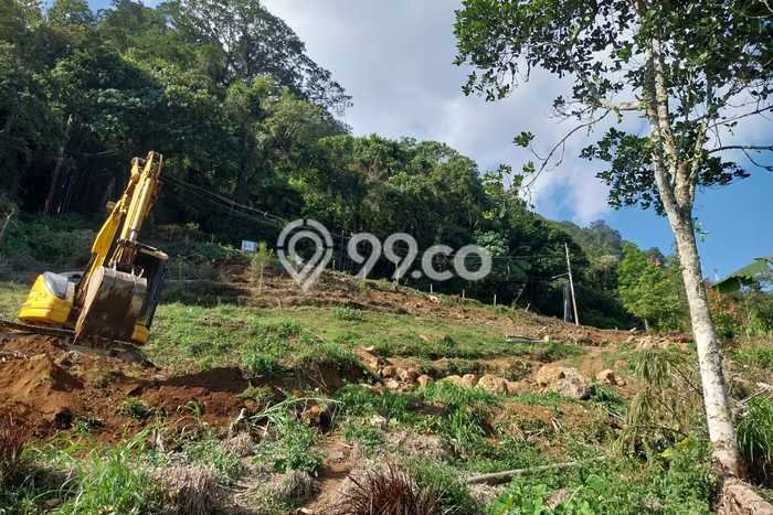 Tanah Dijual di Tabanan Seluas 6000m2 Strategis Tanah Dijual di Tabanan Seluas 6000m2 Strategis