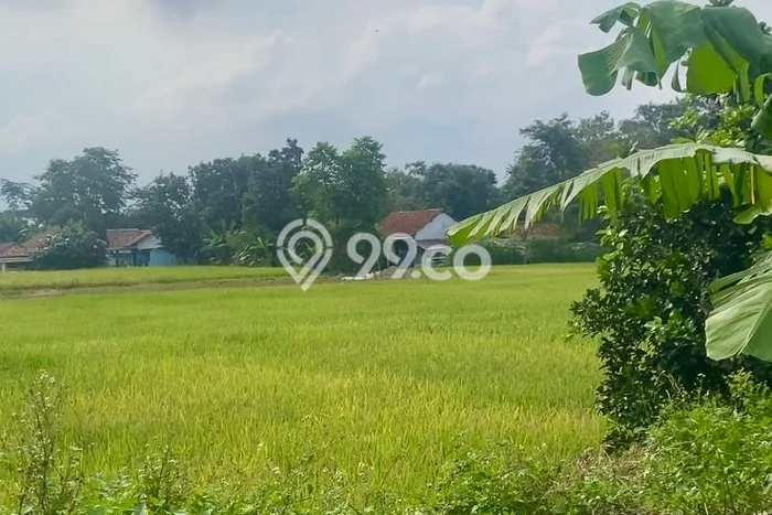 Kavling Tanah Dijual di Legok Tangerang Spesifikasi 935m2 Kavling Tanah Dijual di Legok Tangerang Spesifikasi 935m2