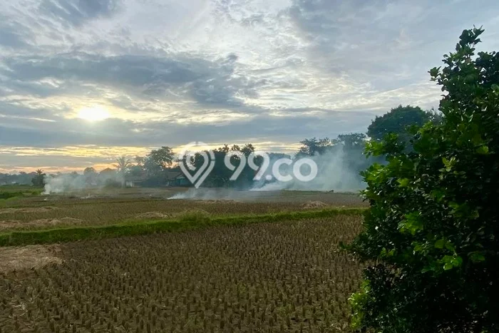 Kavling Tanah Dijual di Legok Tangerang Spesifikasi 935m2 Kavling Tanah Dijual di Legok Tangerang Spesifikasi 935m2