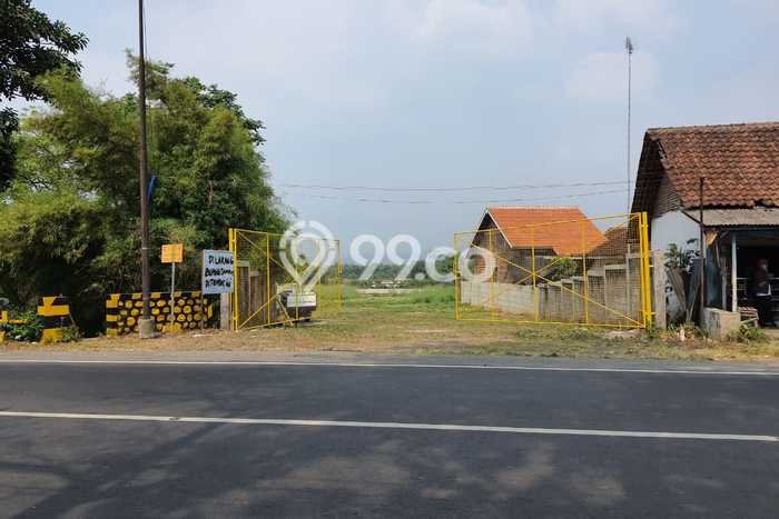 Lahan Kosong Dijual di Wonorejo, Pasuruan, Luas 7321m2 Area Strategis Lahan Kosong Dijual di Wonorejo, Pasuruan, Luas 7321m2 Area Strategis