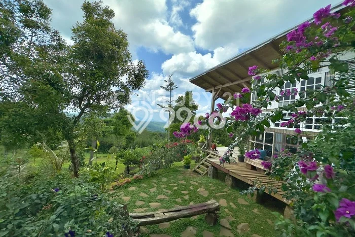Jarang Ada! Tanah di Kiarapedes Punya Luas 73200m2 SHM Jarang Ada! Tanah di Kiarapedes Punya Luas 73200m2 SHM