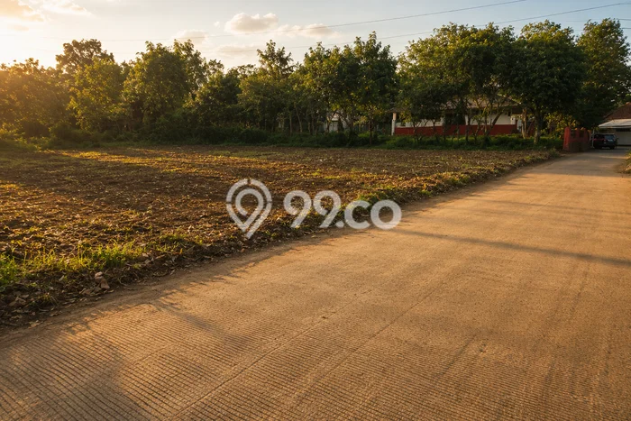 Tanah untuk Dijual di Ciparay Bandung Luas 197m2 Tanah untuk Dijual di Ciparay Bandung Luas 197m2
