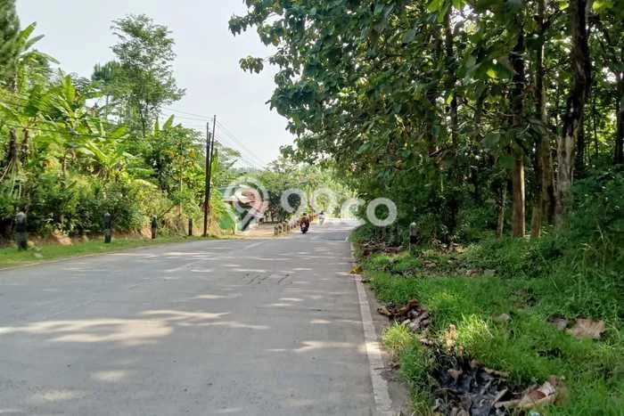 Tanah Kavling Dijual di Cilacap, Cilacap dengan Luas Tanah 4000m2 Tanah Kavling Dijual di Cilacap, Cilacap dengan Luas Tanah 4000m2