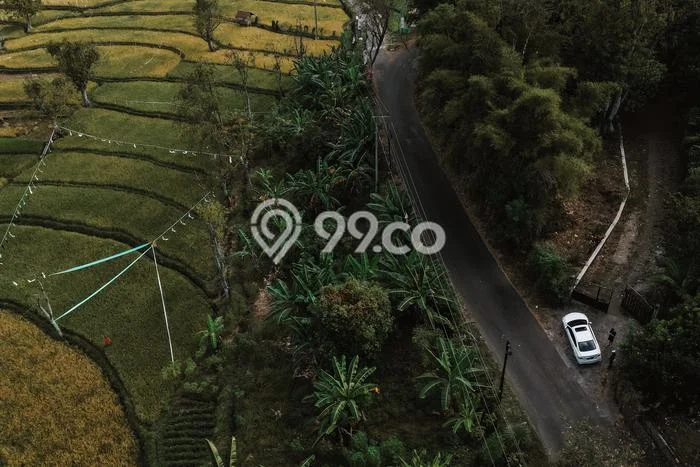 Untuk Dijual Tanah di Prigen Pasuruan Luas 1000m2 SHM Untuk Dijual Tanah di Prigen Pasuruan Luas 1000m2 SHM