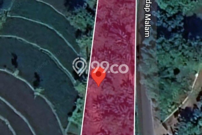 Untuk Dijual Tanah di Prigen Pasuruan Luas 1000m2 SHM Untuk Dijual Tanah di Prigen Pasuruan Luas 1000m2 SHM