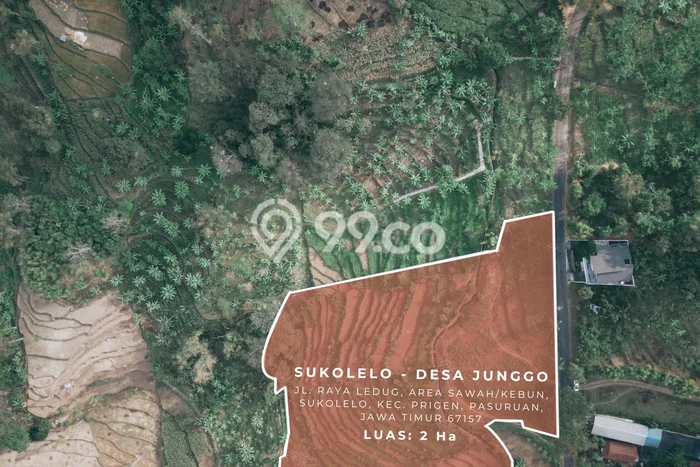 Tanah Dijual Lokasi Prigen, Pasuruan Luas 23000m2 Legalitas Aman Tanah Dijual Lokasi Prigen, Pasuruan Luas 23000m2 Legalitas Aman