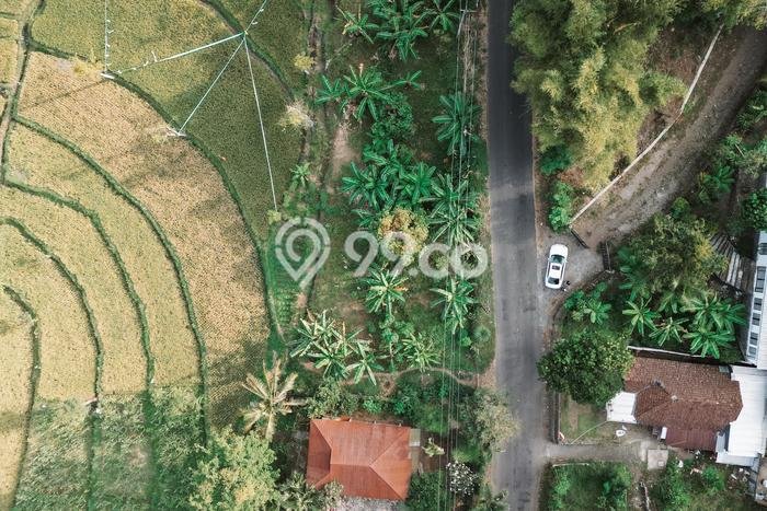 Untuk Dijual Tanah di Prigen Pasuruan Luas 1000m2 SHM Untuk Dijual Tanah di Prigen Pasuruan Luas 1000m2 SHM