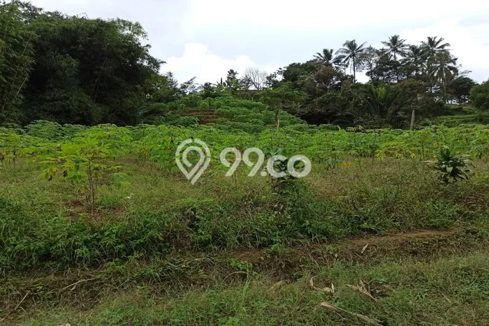 Kavling Tanah untuk Dijual di Kota Sukabumi, Sukabumi, Luas 9900m2 Kavling Tanah untuk Dijual di Kota Sukabumi, Sukabumi, Luas 9900m2