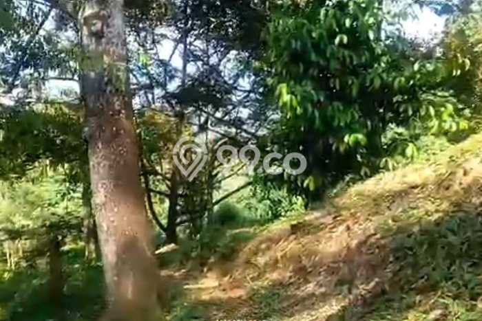 Lahan Dijual Lokasi Leuwisadeng, Bogor dengan Luas Tanah 34000m2 dan Status SHM Lahan Dijual Lokasi Leuwisadeng, Bogor dengan Luas Tanah 34000m2 dan Status SHM