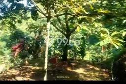 Lahan Dijual Lokasi Leuwisadeng, Bogor dengan Luas Tanah 34000m2 dan Status SHM Lahan Dijual Lokasi Leuwisadeng, Bogor dengan Luas Tanah 34000m2 dan Status SHM