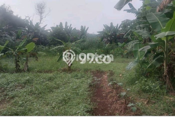 Tanah untuk Dijual di Bogor Timur Bogor Luas 9800m2 Tanah untuk Dijual di Bogor Timur Bogor Luas 9800m2