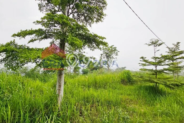 Tanah Kavling untuk Dijual di Dau Malang 90m2 Tanah Kavling untuk Dijual di Dau Malang 90m2