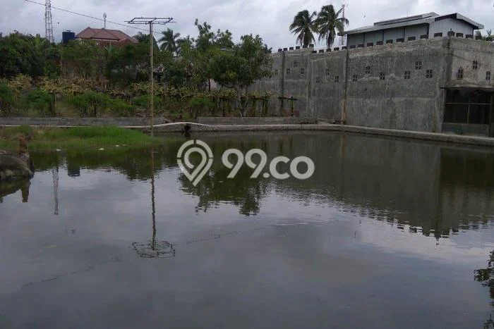 Unit Gudang Dijual di Pakis Malang Luas Bangunan 3000m2 Unit Gudang Dijual di Pakis Malang Luas Bangunan 3000m2