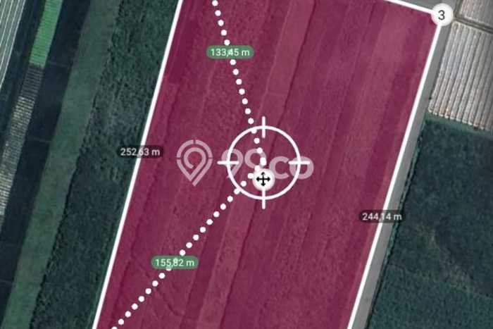 Lahan Investasi Lokasi Perak Jombang - Lahan Investasi Lokasi Perak Jombang -