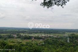 Lahan untuk Dijual Lokasi Pajangan, Bantul Luas 2000m2 SHM Lahan untuk Dijual Lokasi Pajangan, Bantul Luas 2000m2 SHM