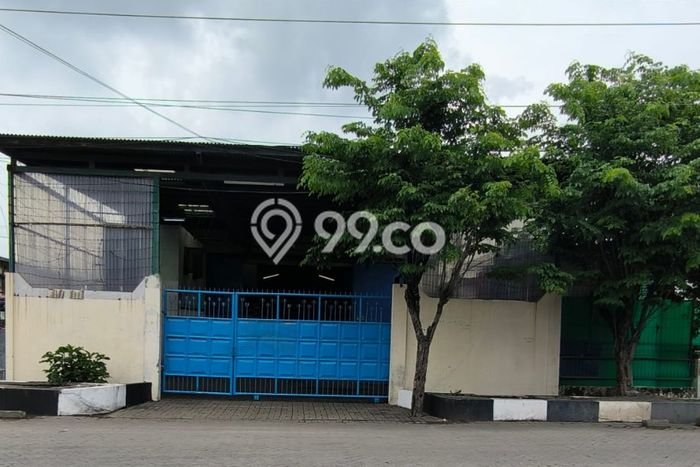 Gudang Favorit Dijual di Margomulyo Bojonegoro Area Pusat Bisnis Gudang Favorit Dijual di Margomulyo Bojonegoro Area Pusat Bisnis
