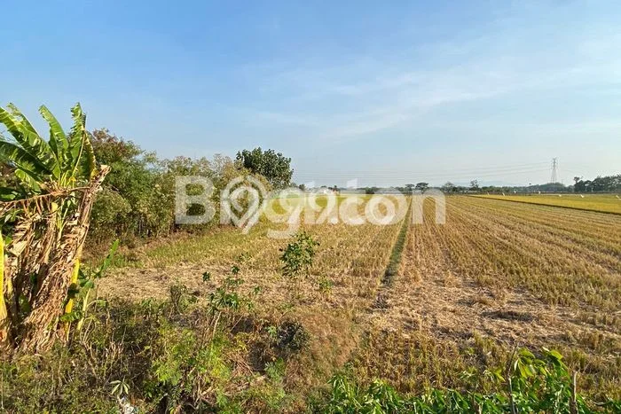 HARGA MENARIK! Tanah Kawasan Baki, Luas 2600m2m², Lingkungan Asri, Bebas Banjir HARGA MENARIK! Tanah Kawasan Baki, Luas 2600m2m², Lingkungan Asri, Bebas Banjir