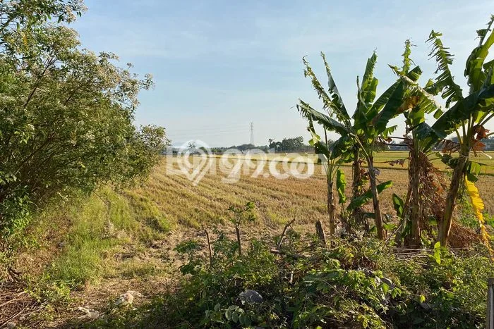 HARGA MENARIK! Tanah Kawasan Baki, Luas 2600m2m², Lingkungan Asri, Bebas Banjir HARGA MENARIK! Tanah Kawasan Baki, Luas 2600m2m², Lingkungan Asri, Bebas Banjir