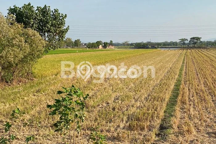 HARGA MENARIK! Tanah Kawasan Baki, Luas 2600m2m², Lingkungan Asri, Bebas Banjir HARGA MENARIK! Tanah Kawasan Baki, Luas 2600m2m², Lingkungan Asri, Bebas Banjir