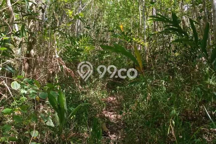 Lahan Strategis di Kombi Dijual dengan Luas 20000m2 Lahan Strategis di Kombi Dijual dengan Luas 20000m2