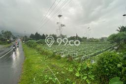 Tanah Dijual Lokasi Pemalang, Pemalang dengan Luas Tanah 5280m2 dan Status SHM Tanah Dijual Lokasi Pemalang, Pemalang dengan Luas Tanah 5280m2 dan Status SHM