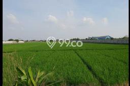 Tanah Kavling untuk Dijual di Karawang Barat Karawang 57508m2 Tanah Kavling untuk Dijual di Karawang Barat Karawang 57508m2