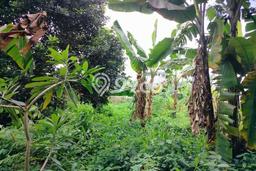 Lahan Kosong Dijual di Bekasi dengan Area 3312m2 Lahan Kosong Dijual di Bekasi dengan Area 3312m2