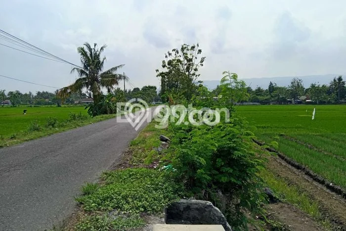 Lahan Kosong Dijual di Pundong, Bantul, Luas 2713m2 Area Strategis Lahan Kosong Dijual di Pundong, Bantul, Luas 2713m2 Area Strategis