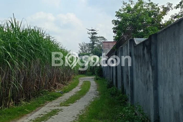 Jarang Ada! Tanah di Ngadiluwih Punya Luas 3450m2 SHM Jarang Ada! Tanah di Ngadiluwih Punya Luas 3450m2 SHM