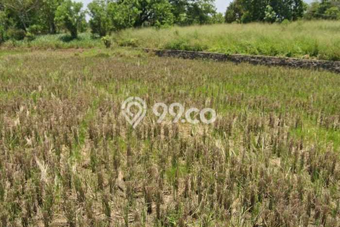 Lahan Strategis di Walantaka Dijual dengan Luas 600000m2 Lahan Strategis di Walantaka Dijual dengan Luas 600000m2