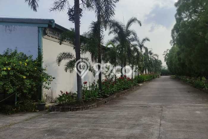 Pabrik Strategis Kawasan Cikande, Luas 5800m², Lokasi Mainroad Pabrik Strategis Kawasan Cikande, Luas 5800m², Lokasi Mainroad
