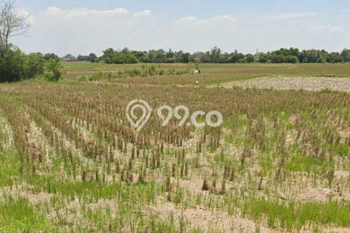 Lahan Strategis di Walantaka Dijual dengan Luas 600000m2 Lahan Strategis di Walantaka Dijual dengan Luas 600000m2